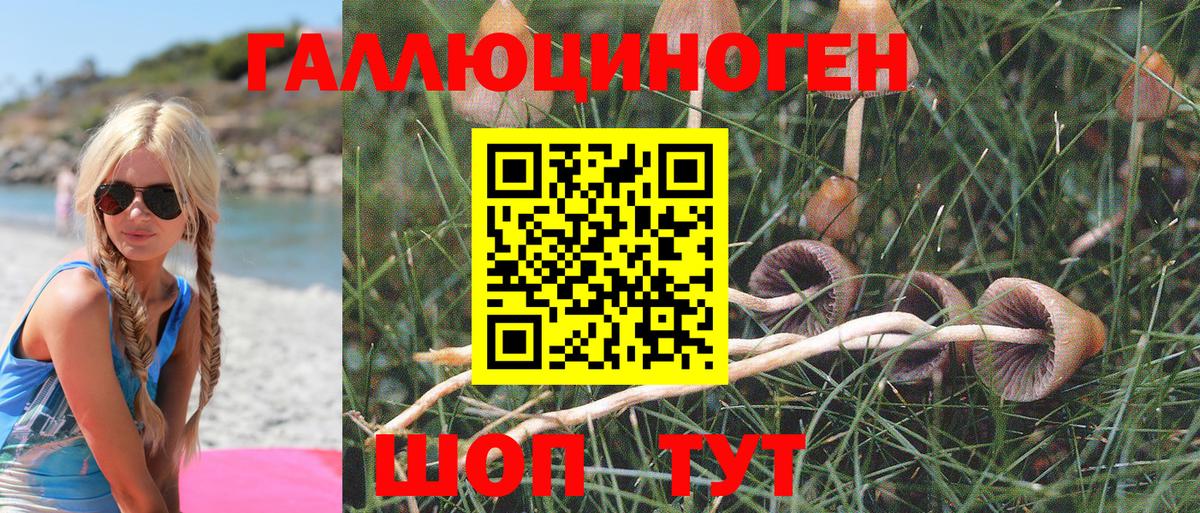 Псилоцибиновые грибы Magic Shrooms Губаха
