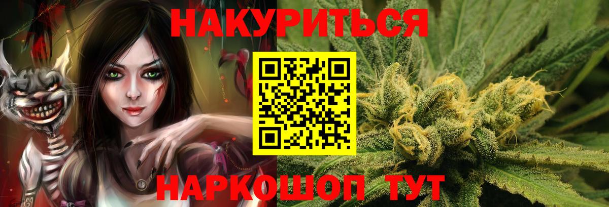 Каннабис индика  Бошки марихуана планчик  Канабис ГИДРОПОН  Губаха  Вход с VPN 
